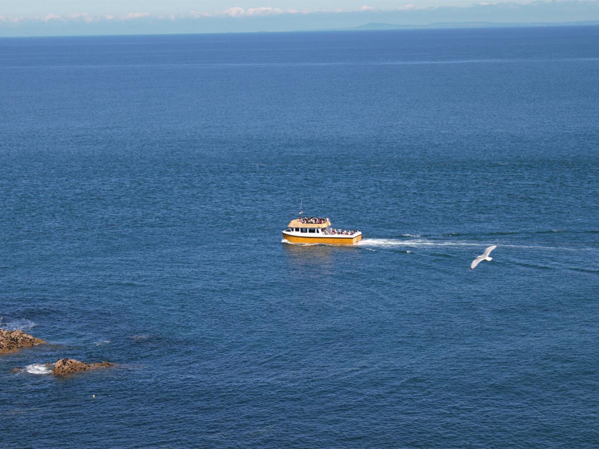 伊尔弗勒科姆Ocean Breeze别墅 外观 照片